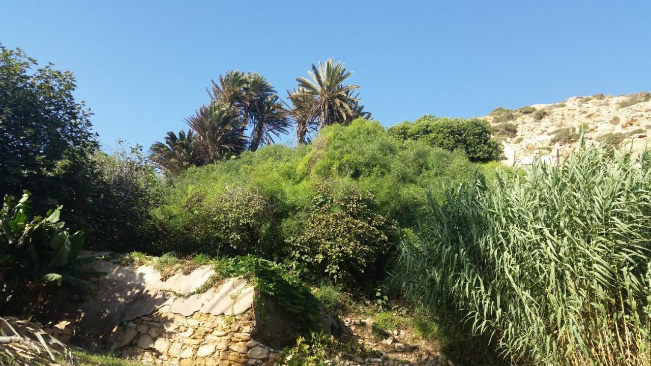 Tigmi Blue - Imsouane Surf Et Ocean Exterior foto