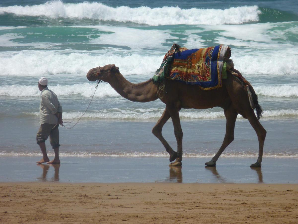 Tigmi Blue - Imsouane Surf Et Ocean Exterior foto